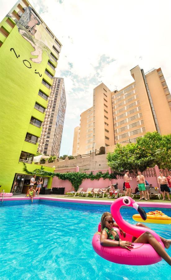 Now Benidorm Apartment Luaran gambar